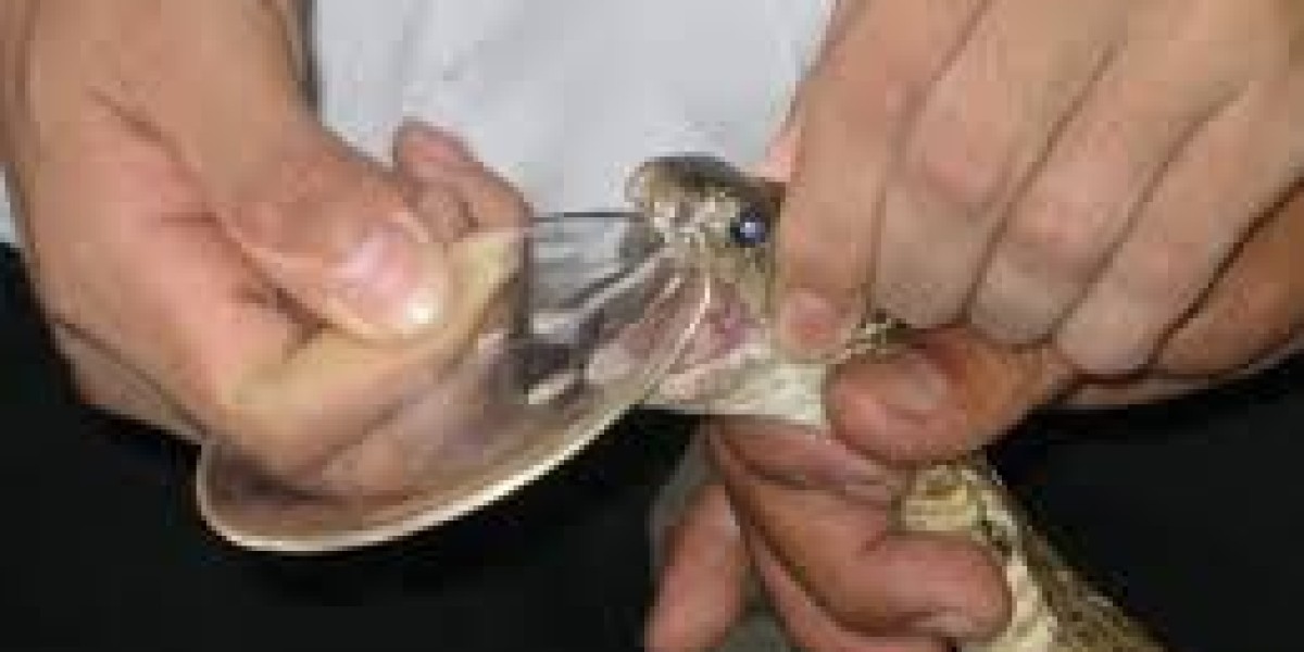 Anti-Venom Market Share: Competitive Landscape and Key Players